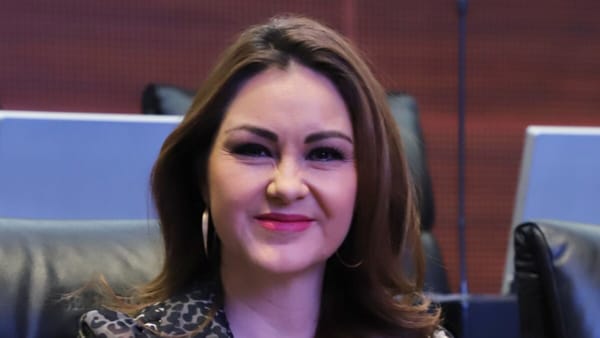 Geovanna Bañuelos, senadora por el PT.